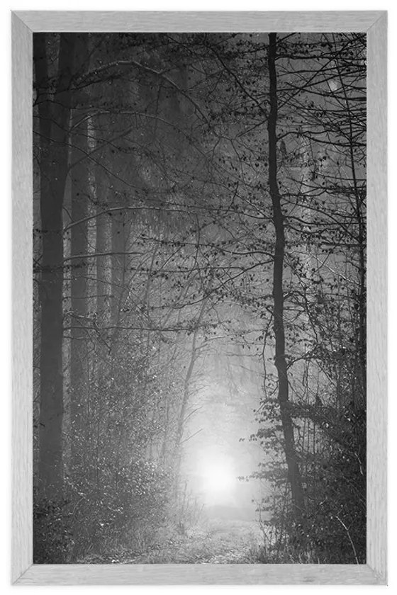 Plagát svetlo v lese v čiernobielom prevedení - 30x45 silver