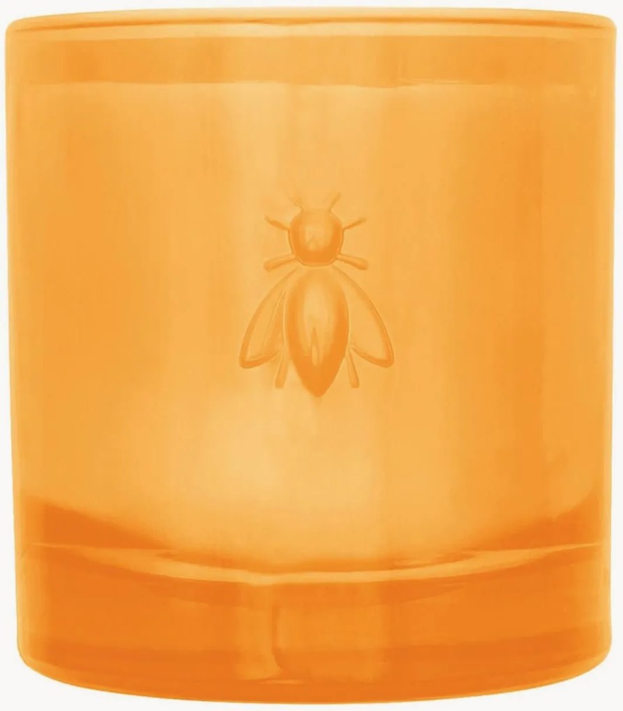 Vonná sviečka Abeille (Vanilla, Plum & Leather)