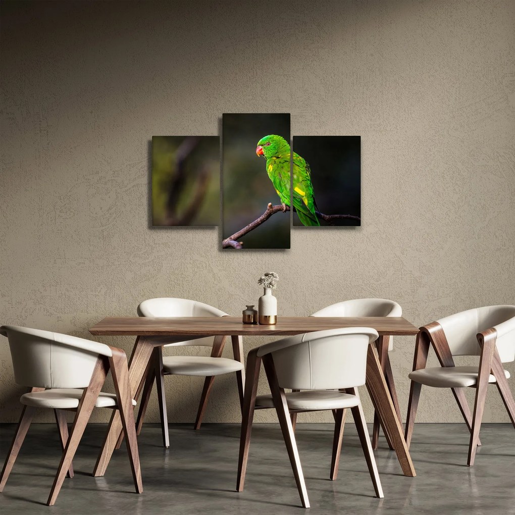 Obraz papagája na vetve (90x60 cm)