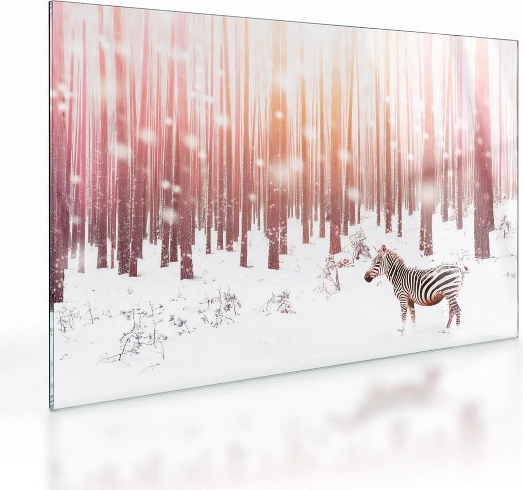 Sklenený obraz - Zebra v zasneženom lese (70x50 cm)