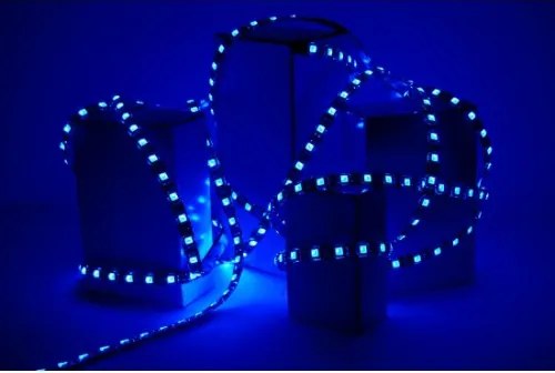 ECOLIGHT LED pásik - SMD 2835 - 5m - 60LED/m - 4,8W/m - modrý - IP20 - s konektorom