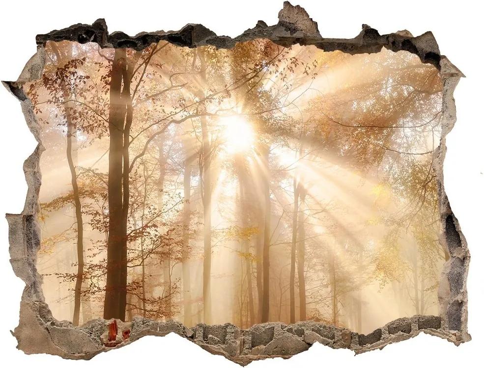 Díra 3D ve zdi nálepka Mlha v lese podzim WallHole-95x64-kamien-119225469