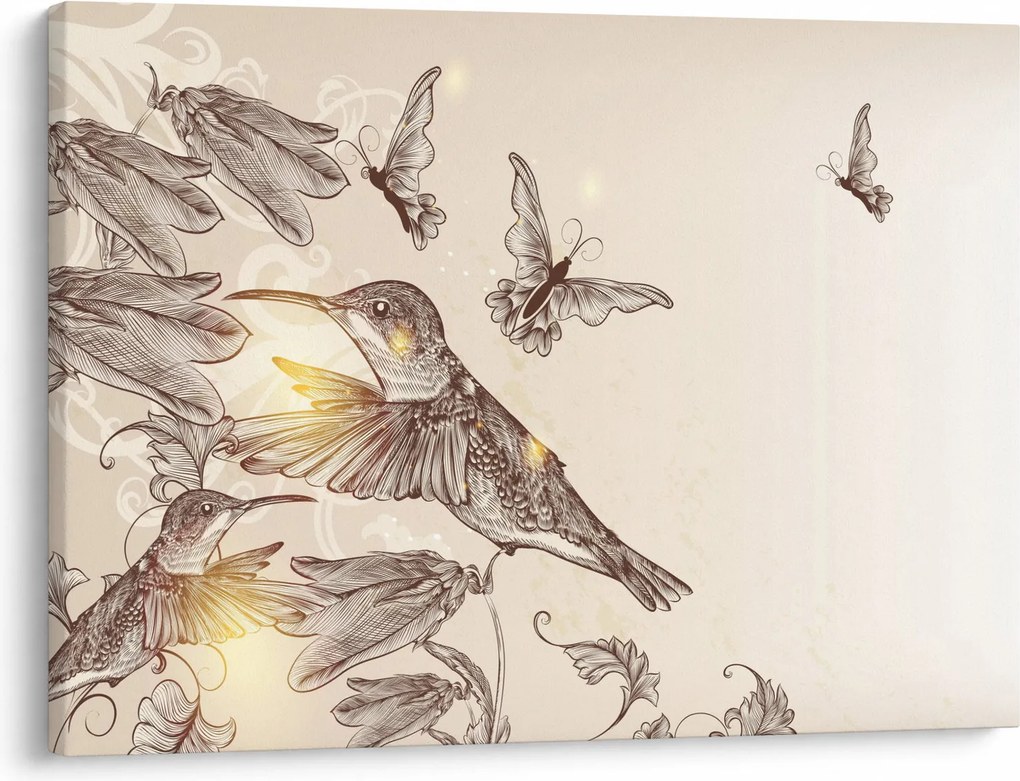 Obraz - Kolibríky (70x50 cm)