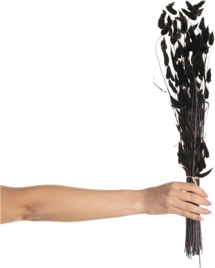 Kytica fúkačiek 60cm dark brown