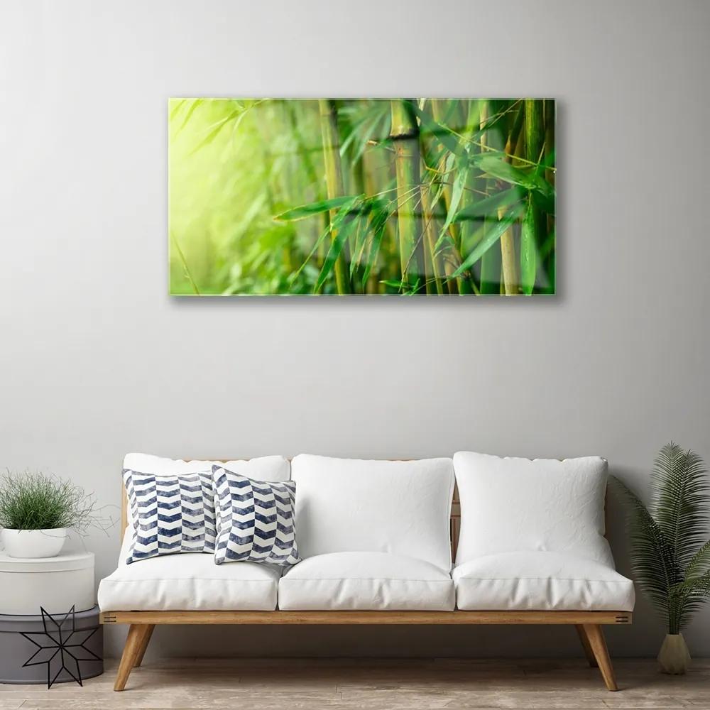 Obraz na akrylátovom skle Bambus stonky rastlina 100x50 cm