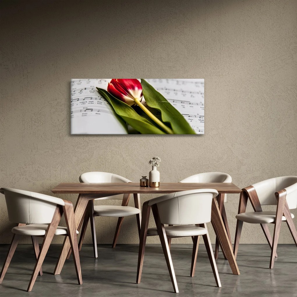 Obraz červeného tulipánu (120x50 cm)