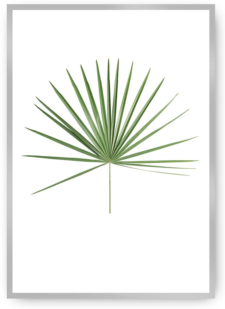 Plagát Tropical Leaf Green