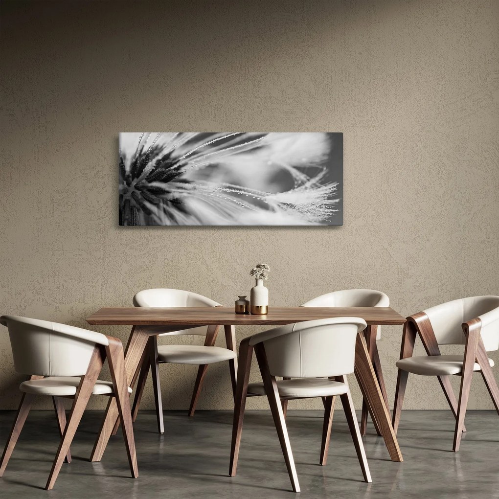 Obraz - Makro, čiernobiela (120x50 cm)