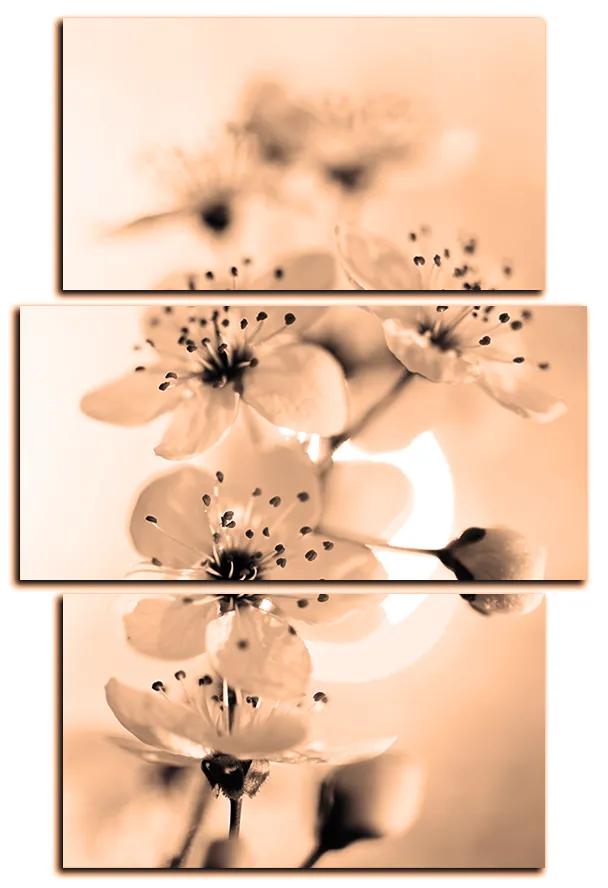Obraz na plátne - Malé kvety na vetve - obdĺžnik 7173FC (120x80 cm)