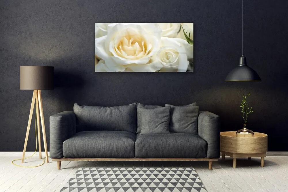 Obraz na akrylátovom skle Ruže kvety 100x50 cm
