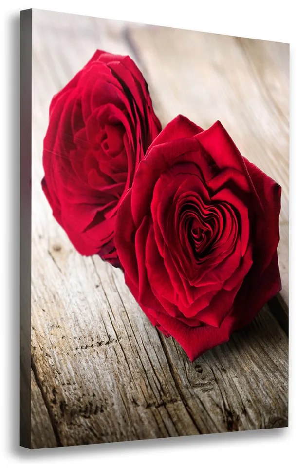 Foto obraz na plátne Červené ruže pl-oc-70x100-f-99658852