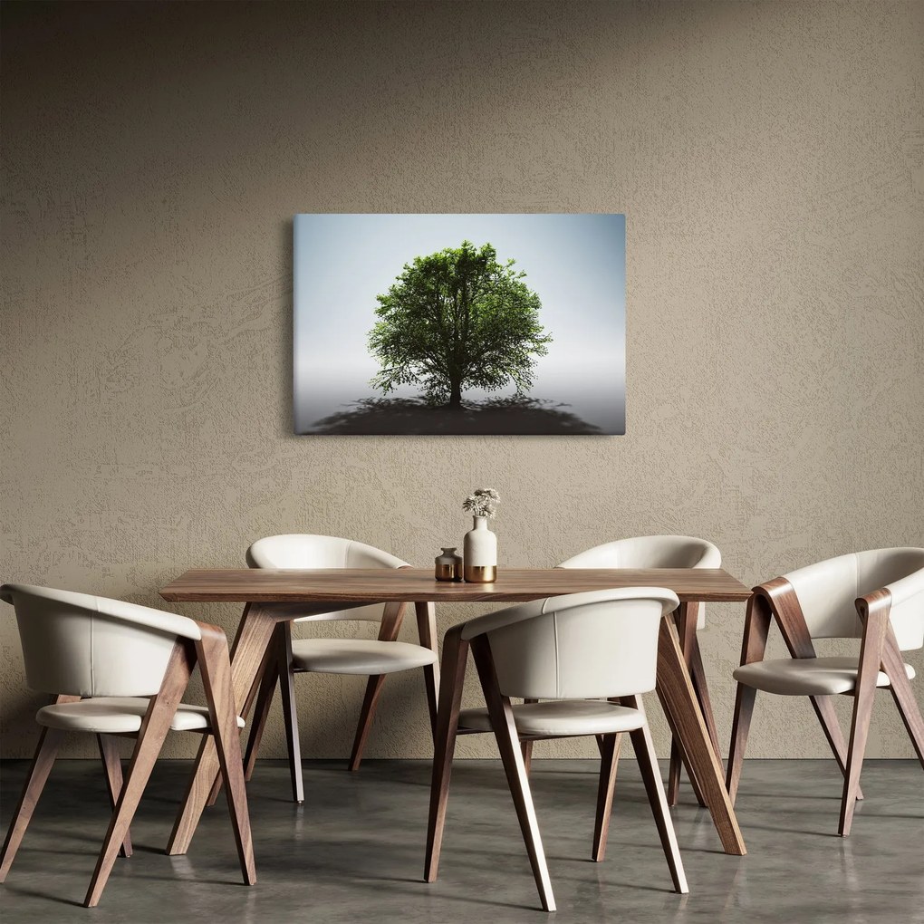 Obraz - Osamotený strom (90x60 cm)