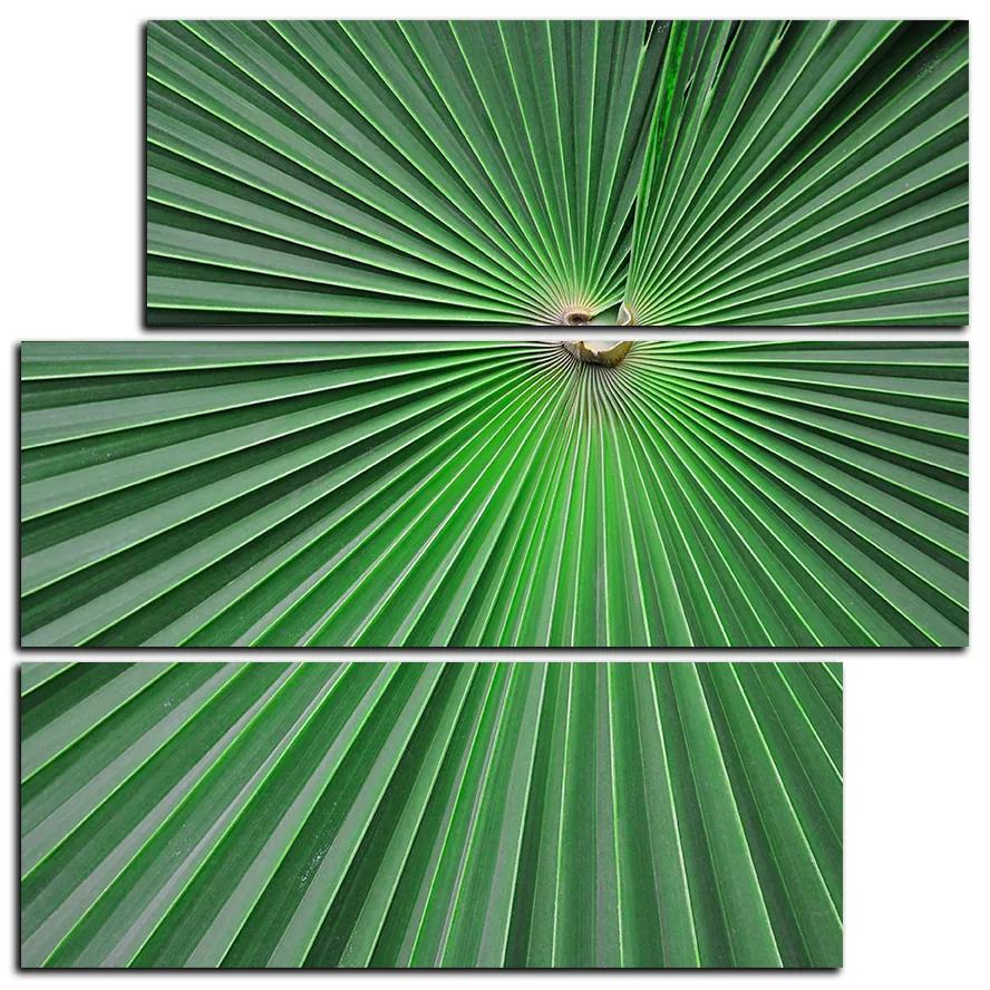 Obraz na plátne - Tropické listy - štvorec 3205D (105x105 cm)