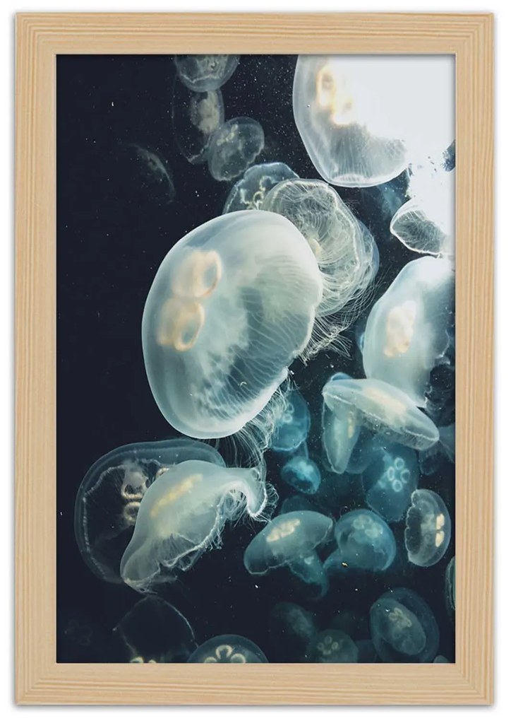 Gario Plagát Plávajúce medúzy Farba rámu: Bez rámu, Rozmery: 30 x 45 cm