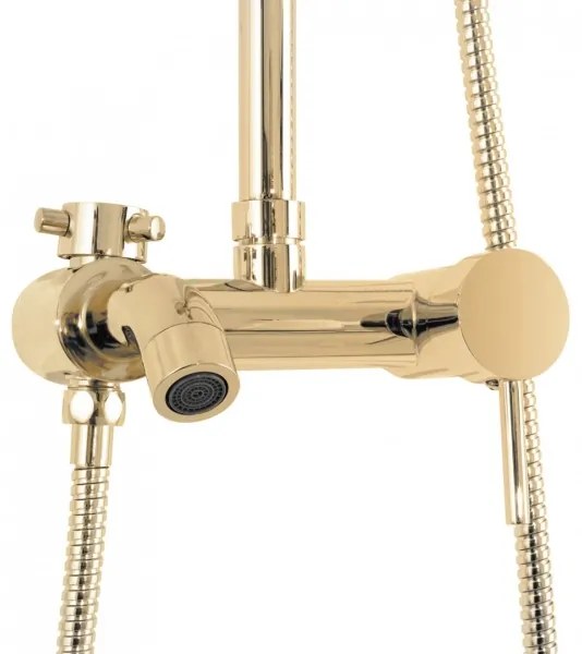 REA-P7006 - Sprchová súprava s batériou LUIS zlatá
