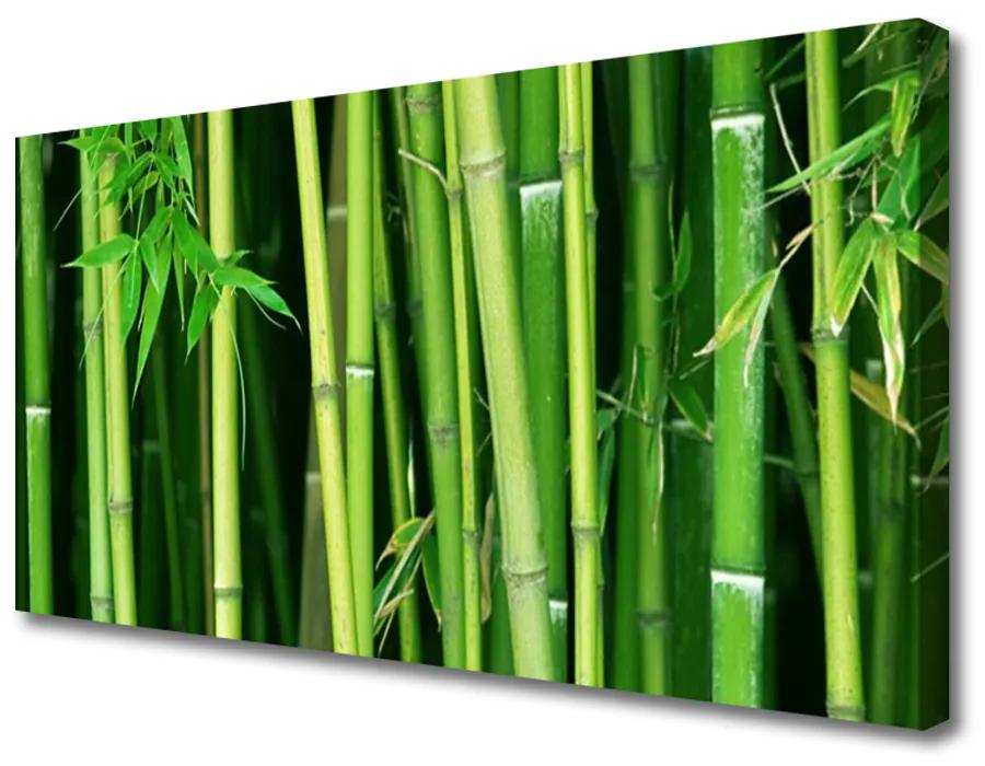 Obraz Canvas Bambusový les bambus príroda 140x70 cm