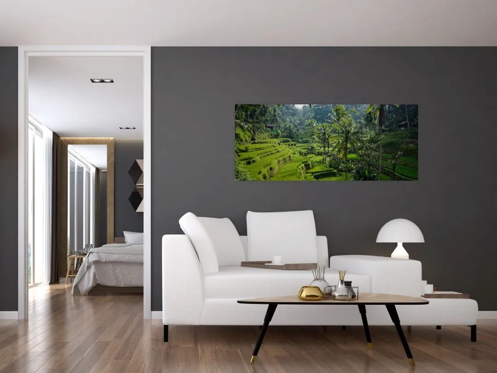 Obraz ryžových terás Tegalalang, Bali (120x50 cm)