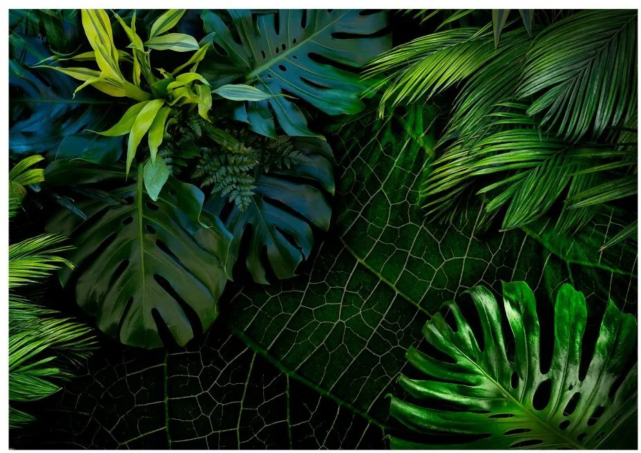 Fototapeta - Temná džungľa 200x140 + zadarmo lepidlo