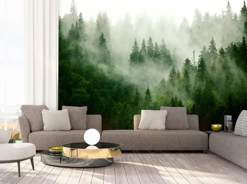 Manufakturer -  Tapeta Green forest in the fog samolepiaca