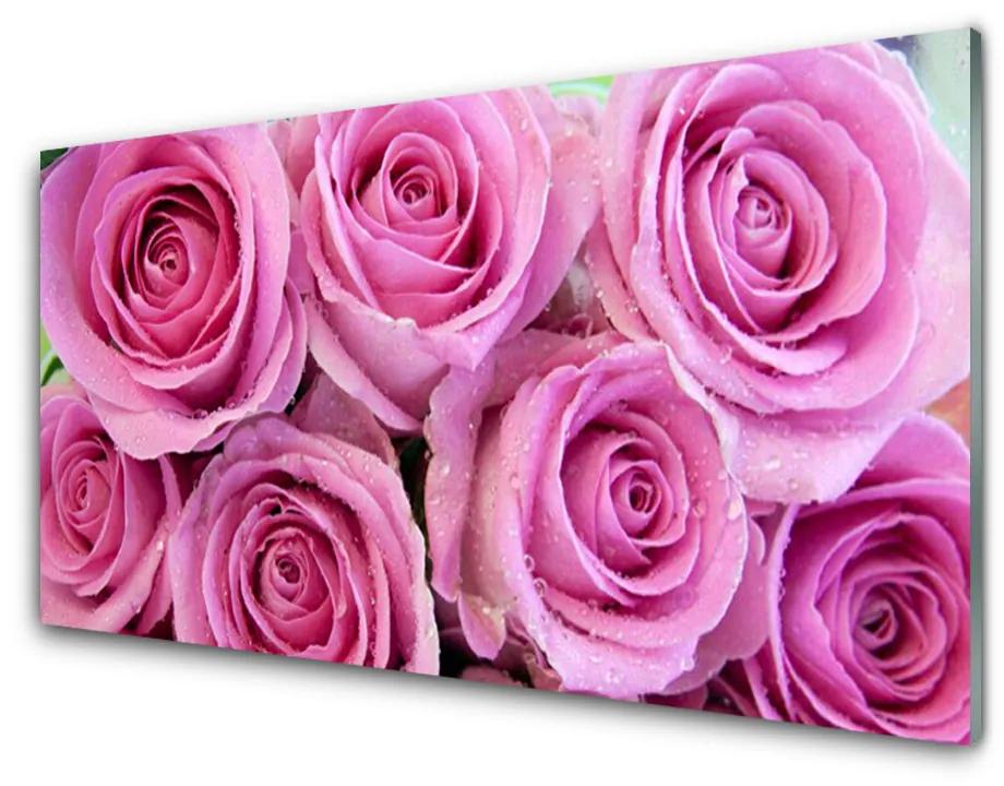 Nástenný panel  Ruže kvety rastlina 120x60cm