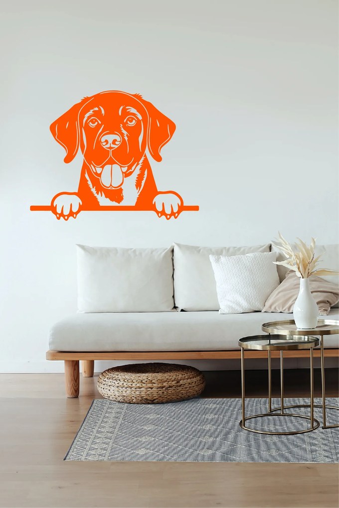 Veselá Stena Samolepka Labradorský retriever Farba: oranžová, Veľkosť: 60 x 46 cm
