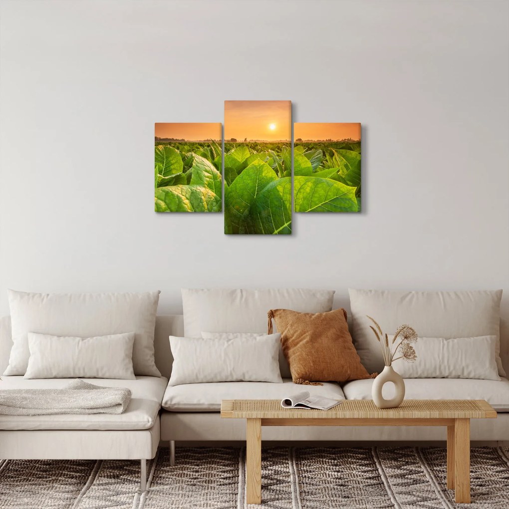 Obraz - Pole (90x60 cm)