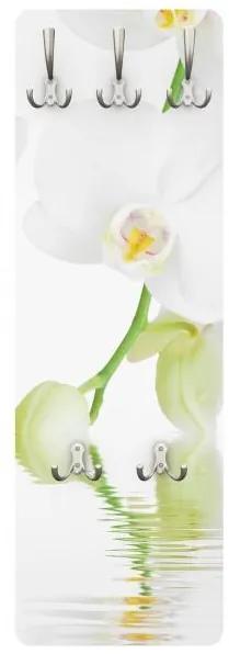 Vešiak na stenu Wellness orchidea
