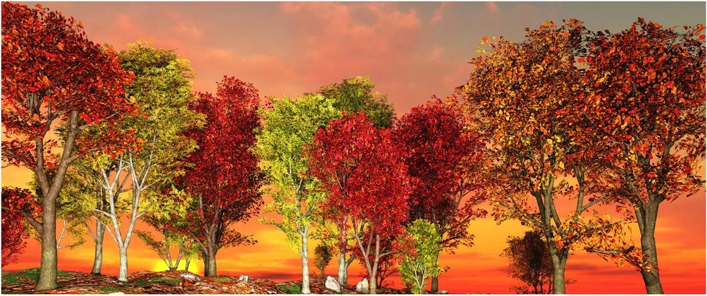 Obraz - Farebné stromy (120x50 cm)