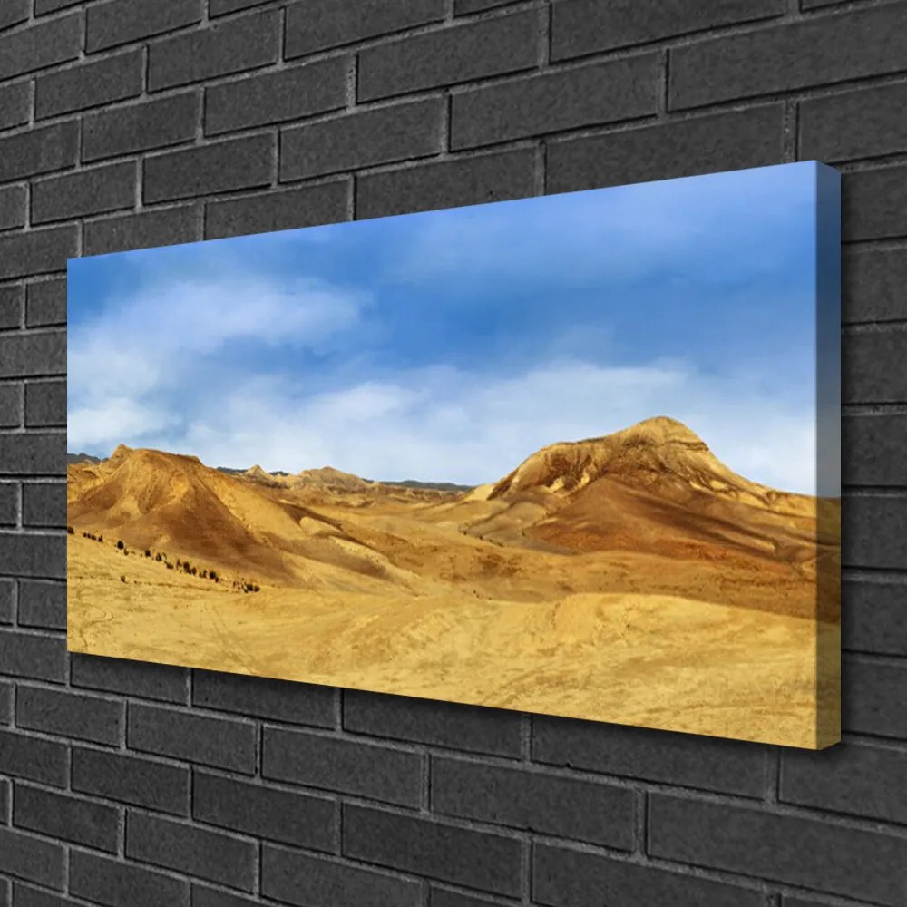 Obraz Canvas Púšť vrcholky krajina 120x60 cm
