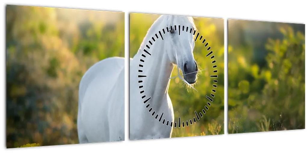 Obraz bieleho koňa na lúke (s hodinami) (90x30 cm)