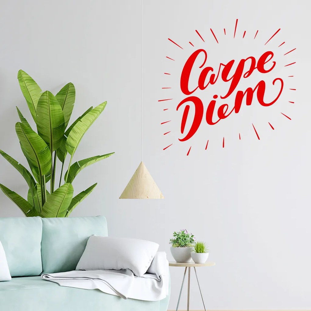 Veselá Stena Samolepka Carpe Diem (Užívaj dňa) Farba: biela, Veľkosť: 100 x 100 cm
