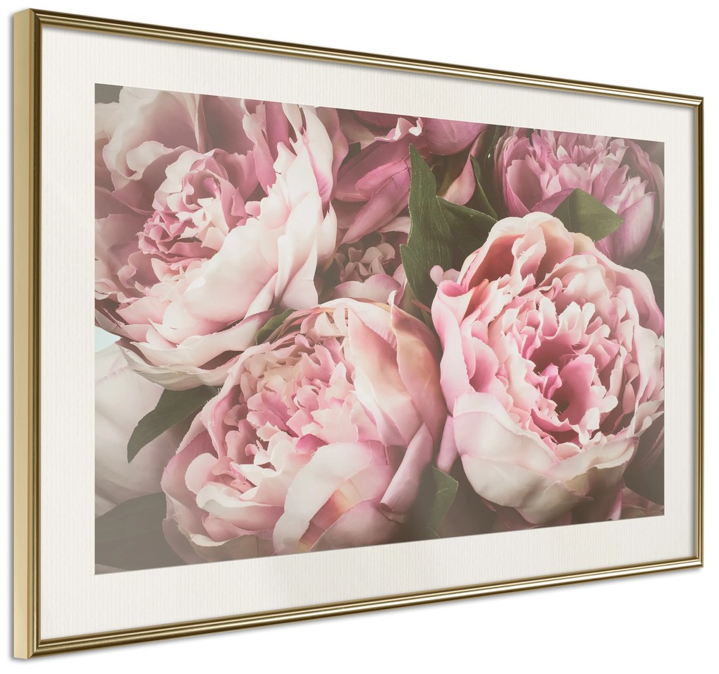 Artgeist Plagát - Pink Peonies [Poster] Veľkosť: 30x20, Verzia: Čierny rám s passe-partout