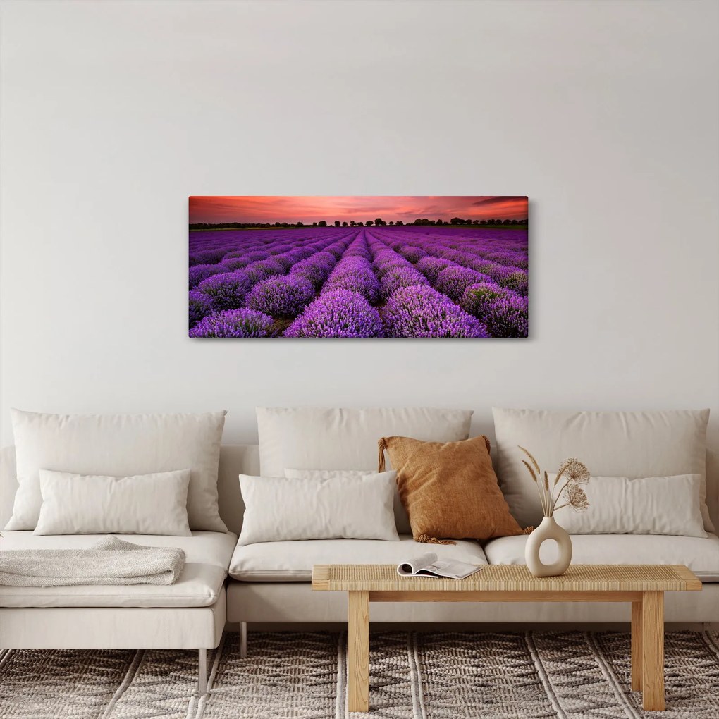 Obraz - Levanduľové pole (120x50 cm)
