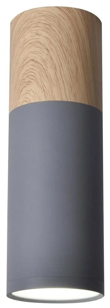 Stropné svietidlo TUBA GU10/15W/230V