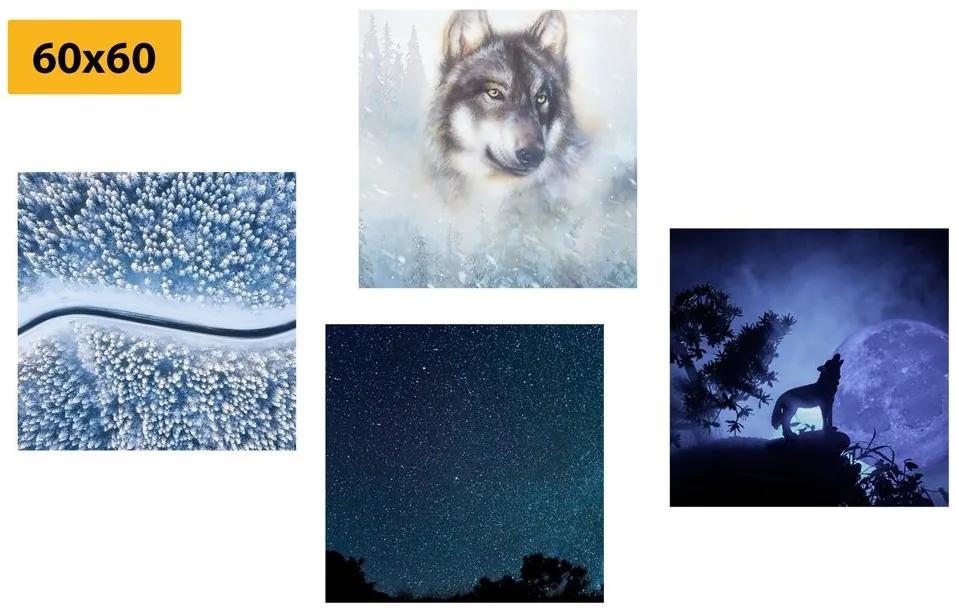 Set obrazov samotársky vlk - 4x 40x40