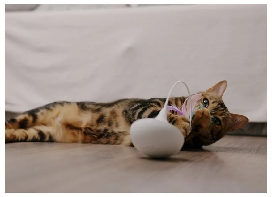 Hračka pre mačku Epic Pet Interactive – Plaček Pet Products