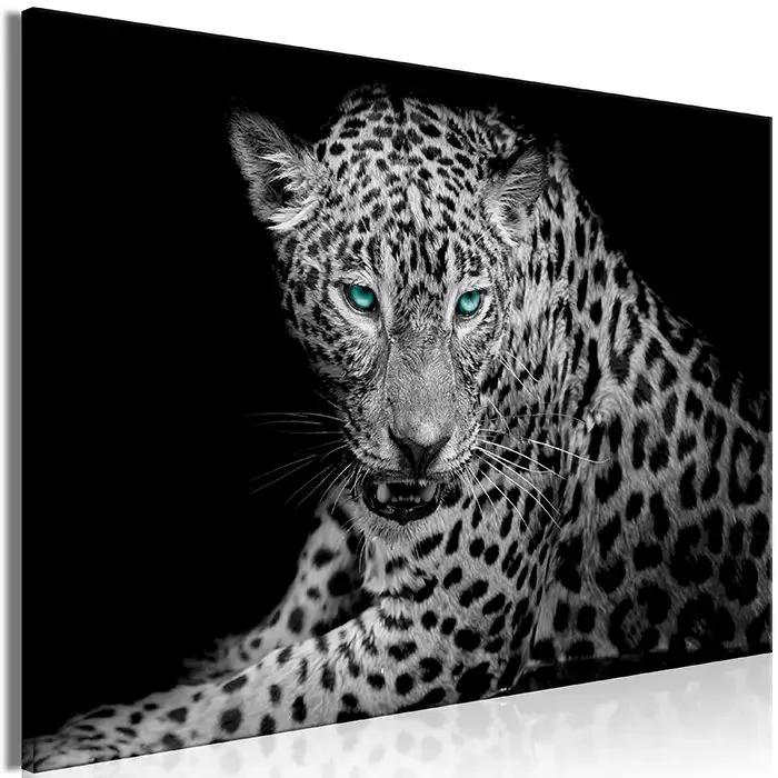 Obraz - Leopard Portrait (1 Part) Wide Veľkosť: 120x80, Verzia: Standard