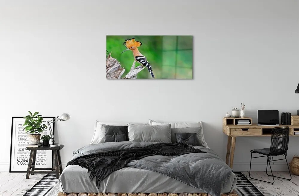Sklenený obraz Strom farebný papagáj 100x50 cm