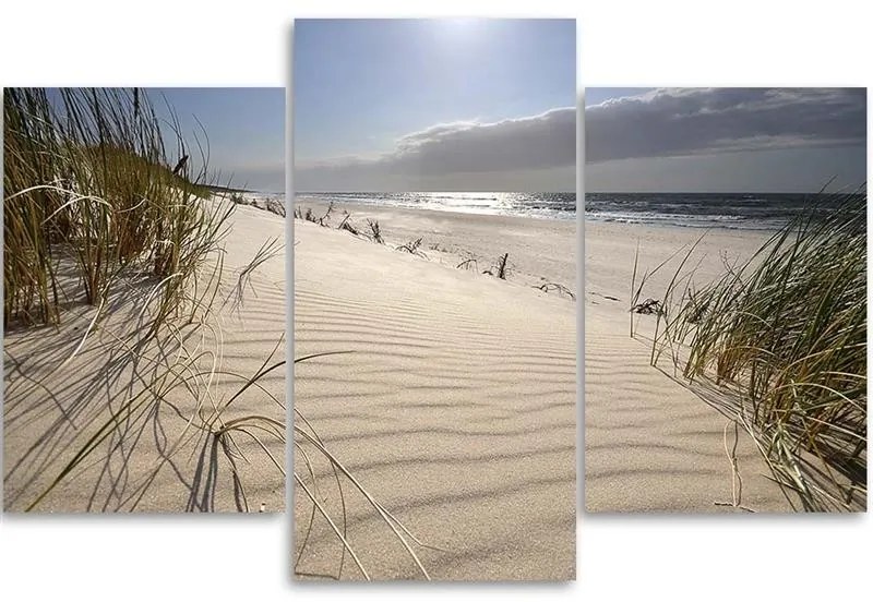 Gario Obraz na plátne Duny na pláži - 3 dielny Rozmery: 60 x 40 cm