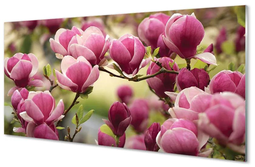 Nástenný panel  kvety 100x50 cm