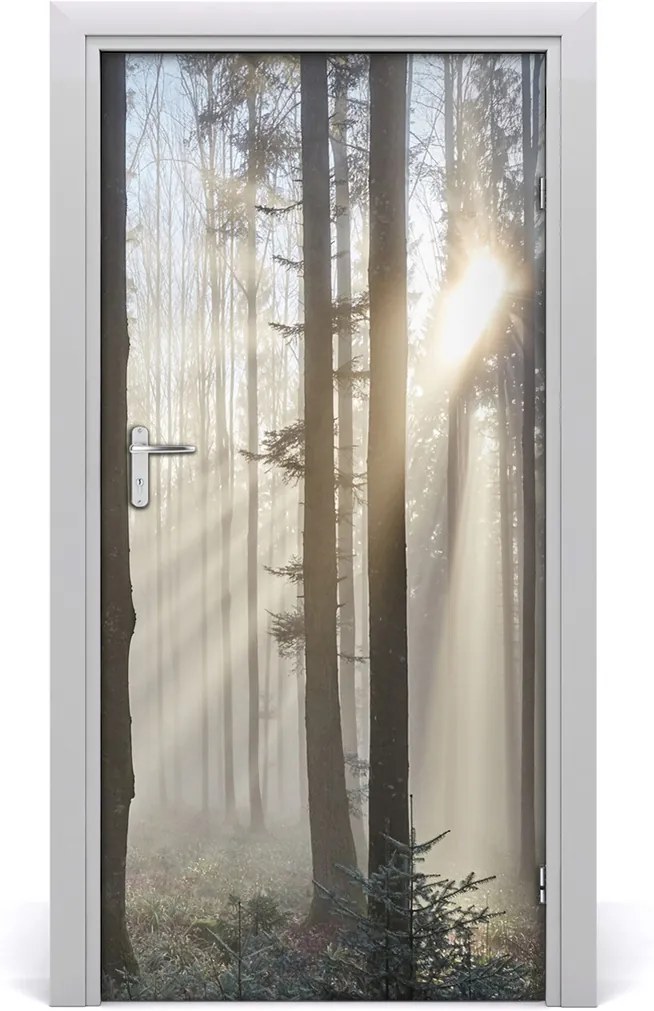 Fototapeta na dvere  hmla v lese
