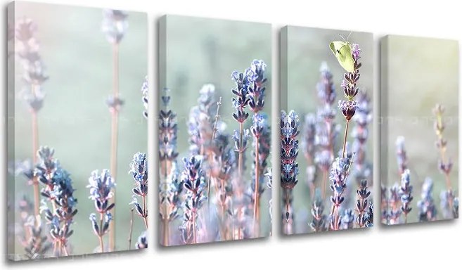 Obraz na stenu 4 dielny KVETY KV077E41 - 120x60 cm