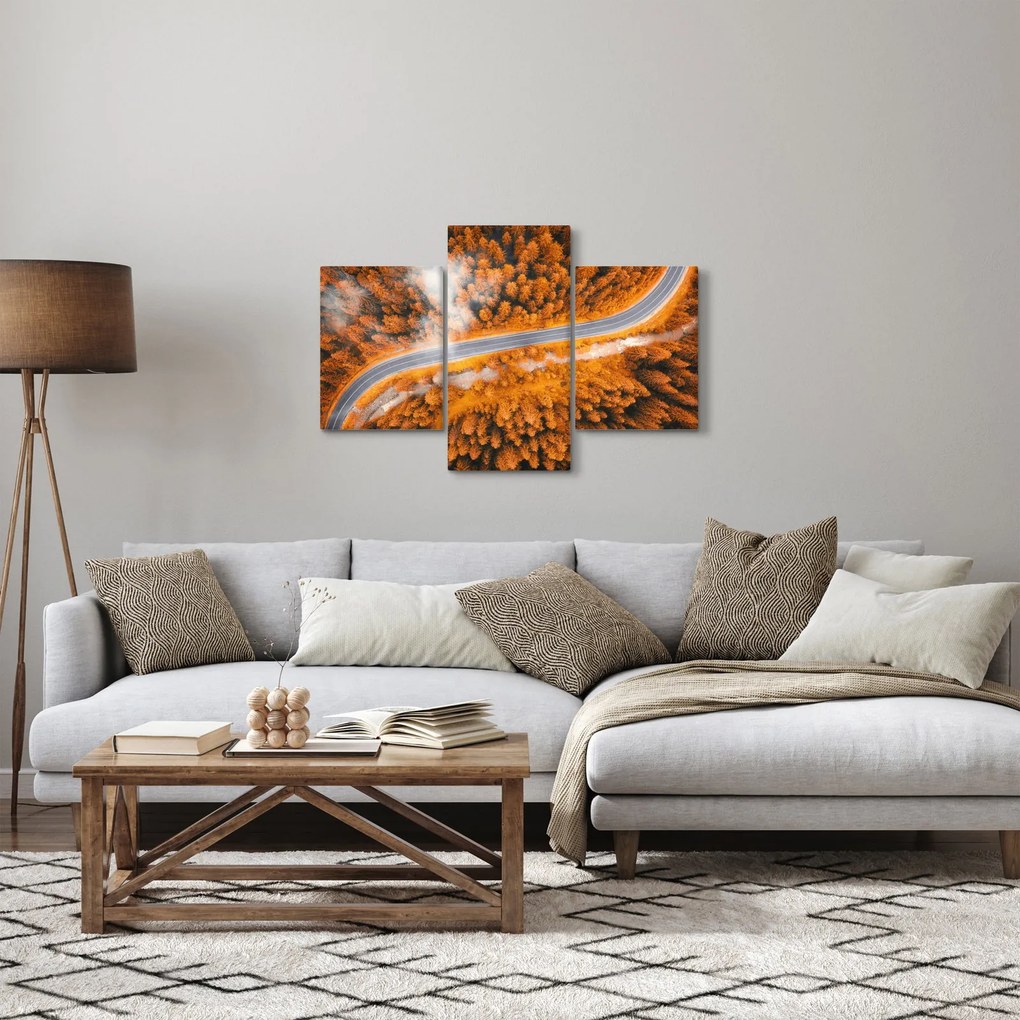 Obraz - Horská cesta (90x60 cm)