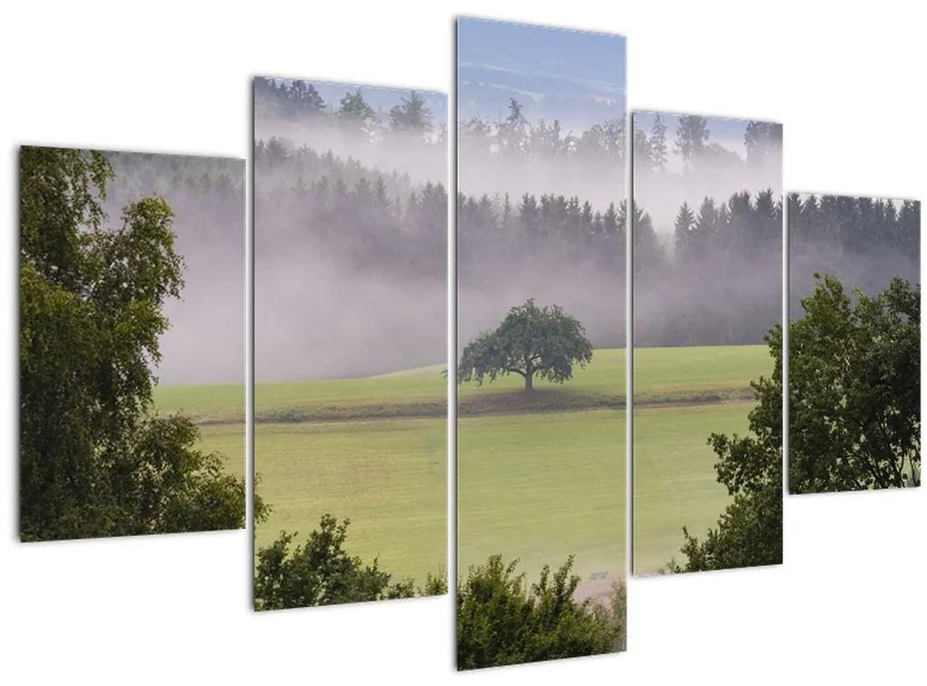 Obraz lúky so stromom (150x105 cm)