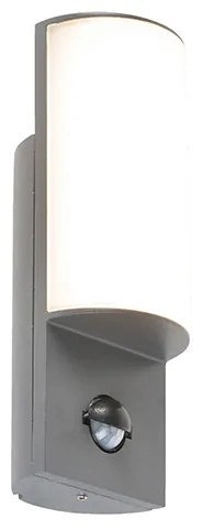 Moderná vonkajšia nástenná lampa tmavosivá s pohybovým senzorom - Harry