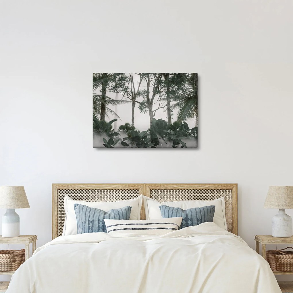 Obraz - Jungle v rannej hmle (70x50 cm)