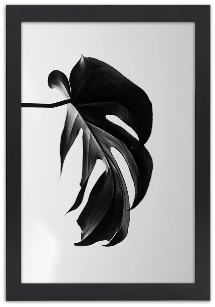 Gario Plagát Čierna a biela monstera list Farba rámu: Bez rámu, Rozmery: 20 x 30 cm