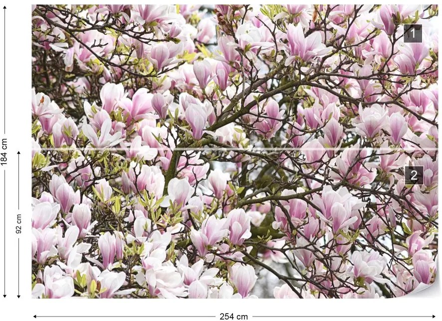 Fototapeta GLIX - Glorious Magnolia + lepidlo ZADARMO Vliesová tapeta  - 254x184 cm
