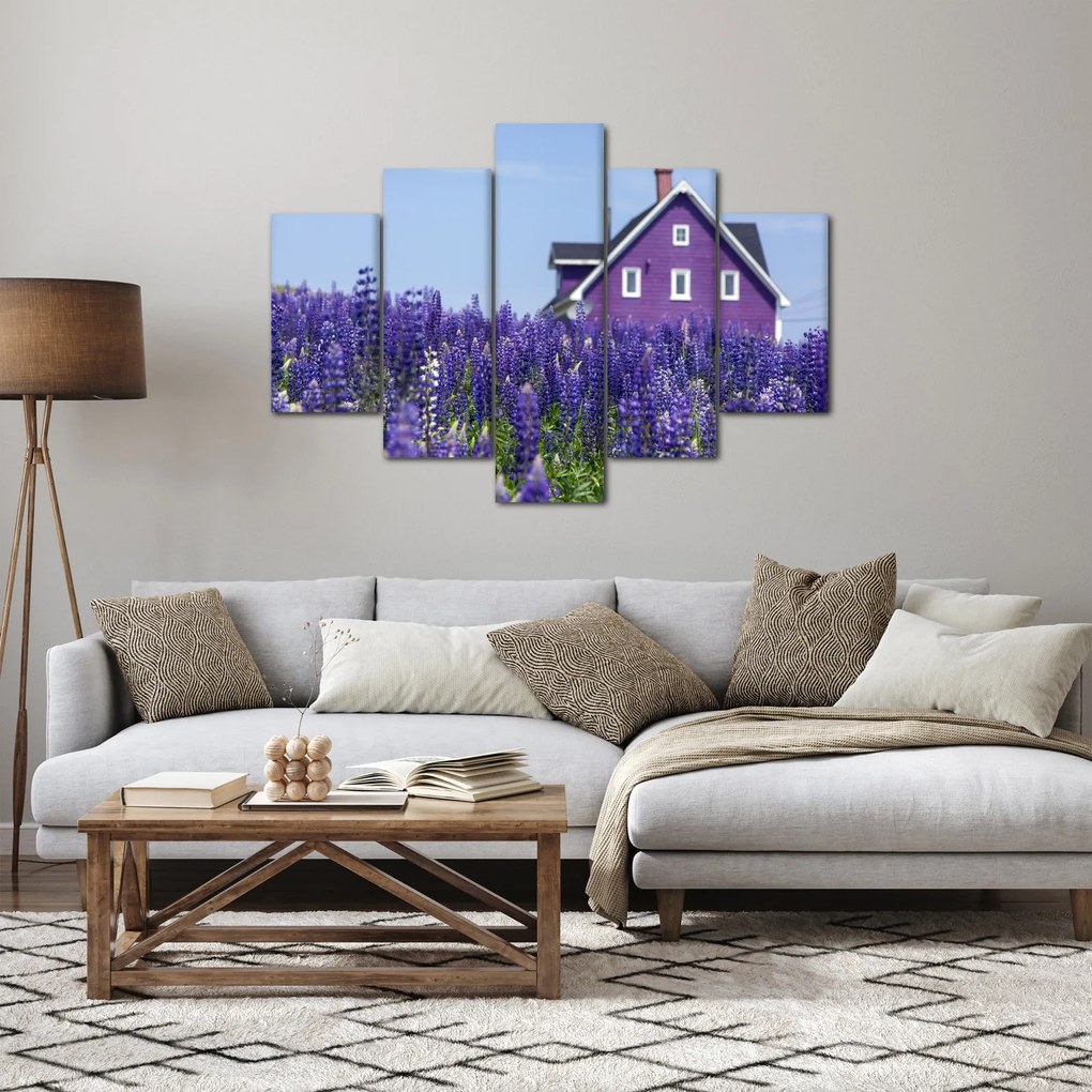 Obraz levanduľového poľa (150x105 cm)