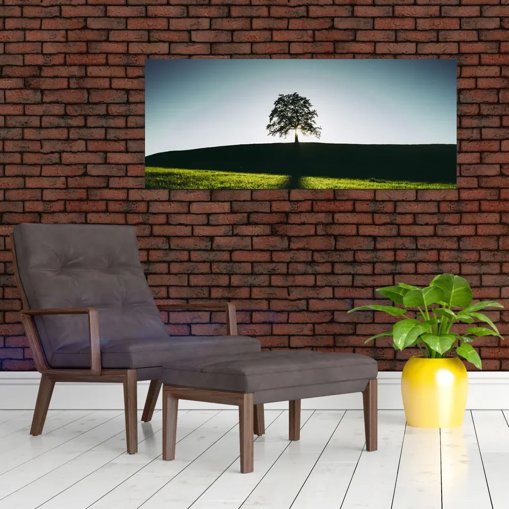 Obraz prírody - strom (120x50 cm)